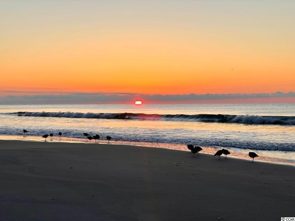 Beautiful Beachfront-Oceanfront First Floor 2Br 2Ba Condo In Cherry Grove, North Myrtle Beach! Renovated With A Fully Equipped Kitchen, 3 Separate Beds, Pool, Private Patio & Steps To The Sand! Buitenkant foto